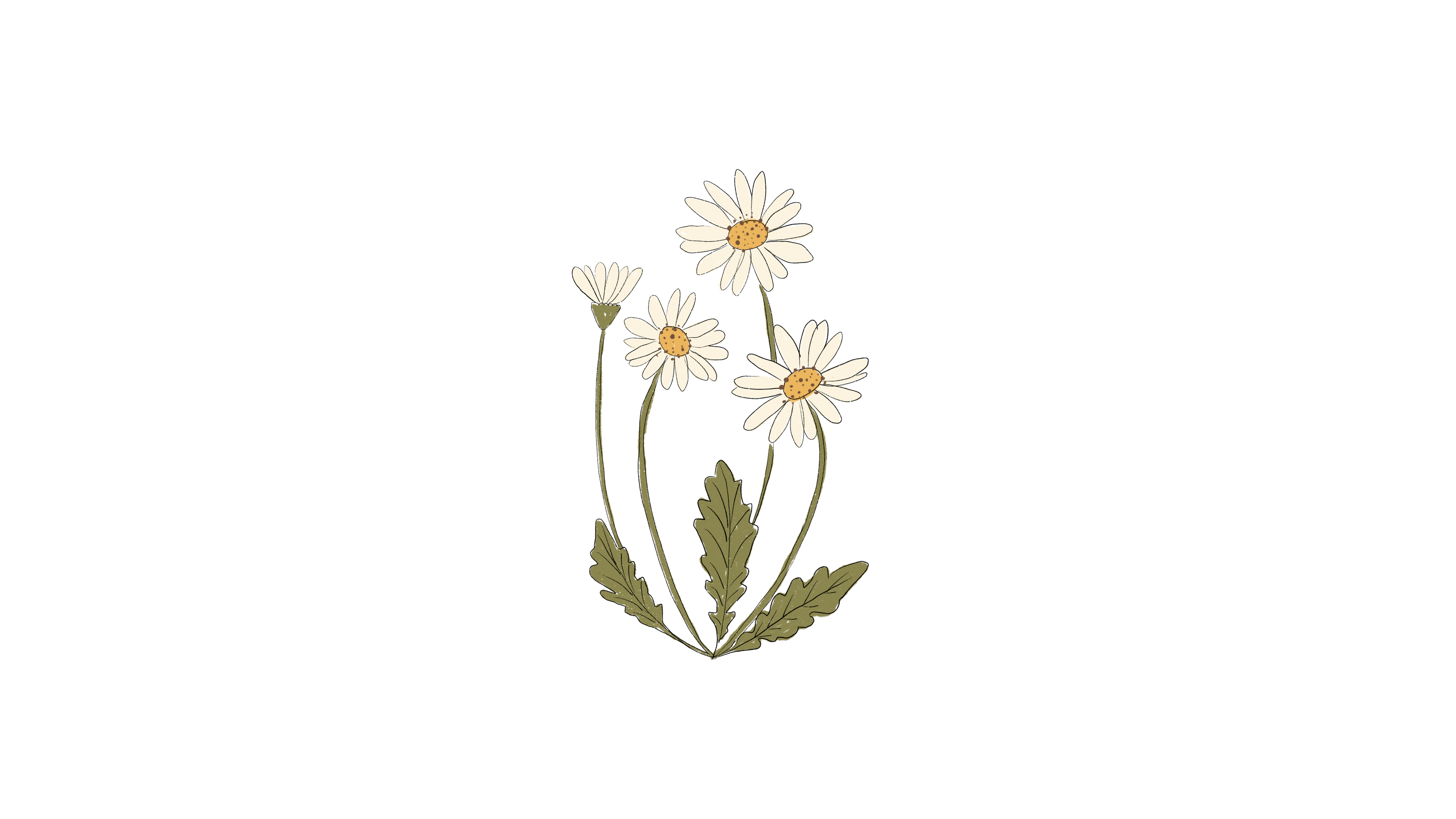 Plantas