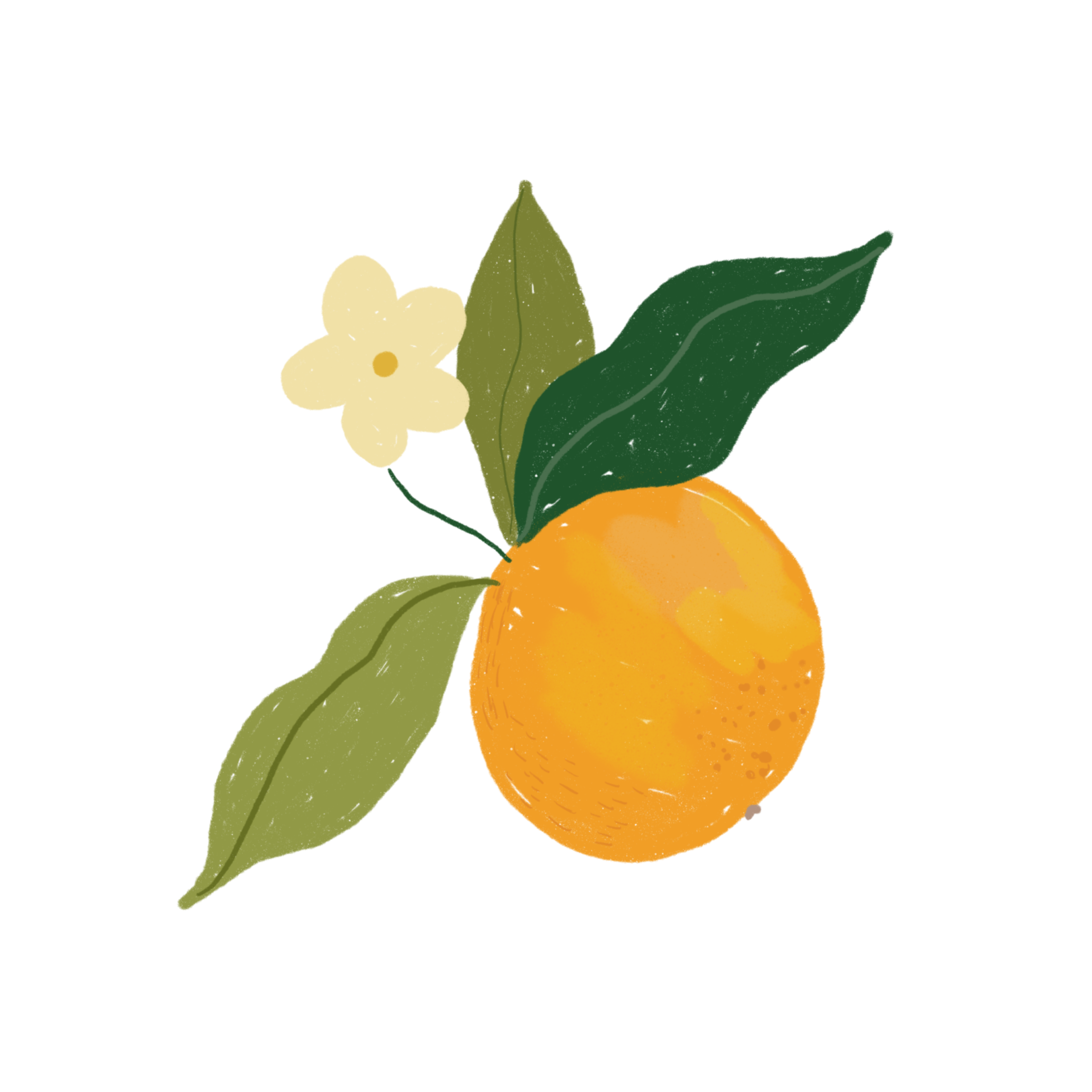 Frutas