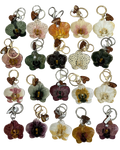 ORQUIDEA
