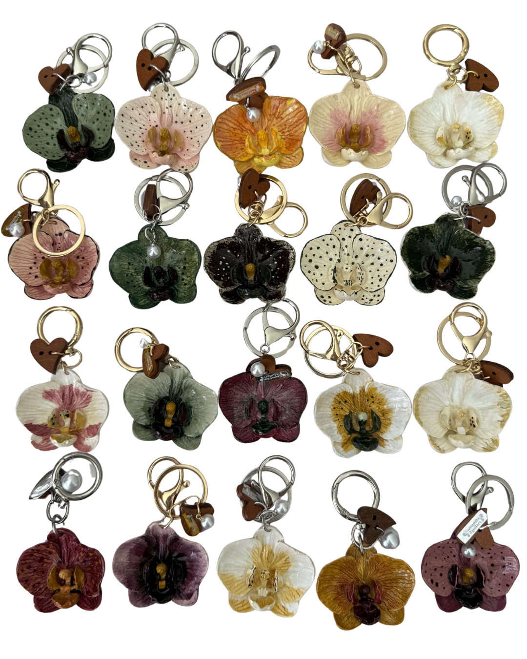 ORQUIDEA