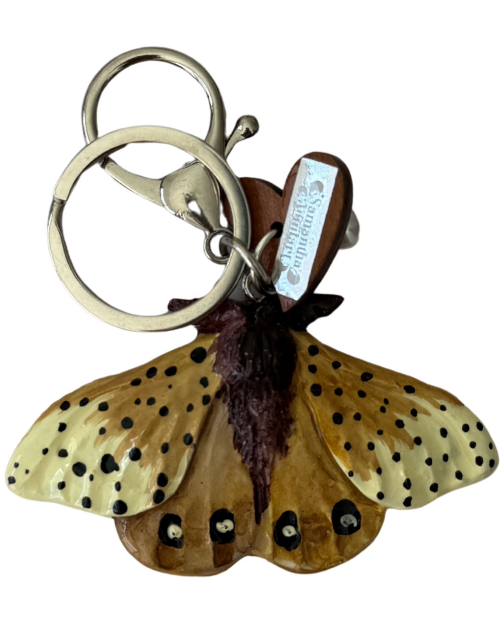 POLILLA