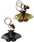 POLILLA