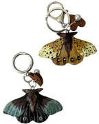 POLILLA
