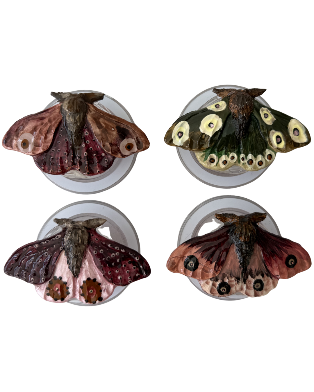 POLILLA