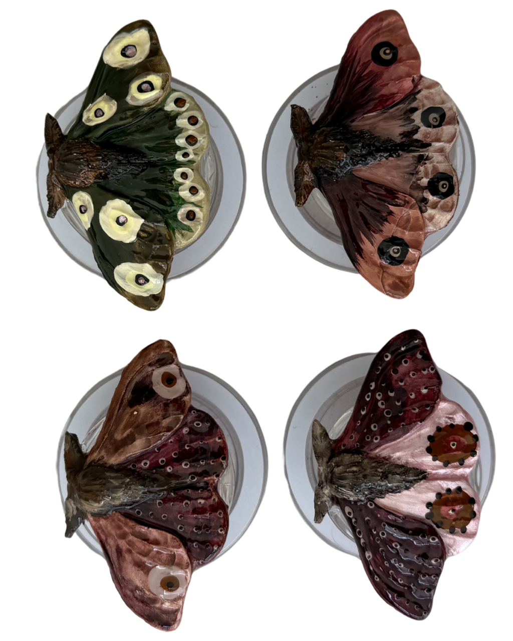 POLILLA