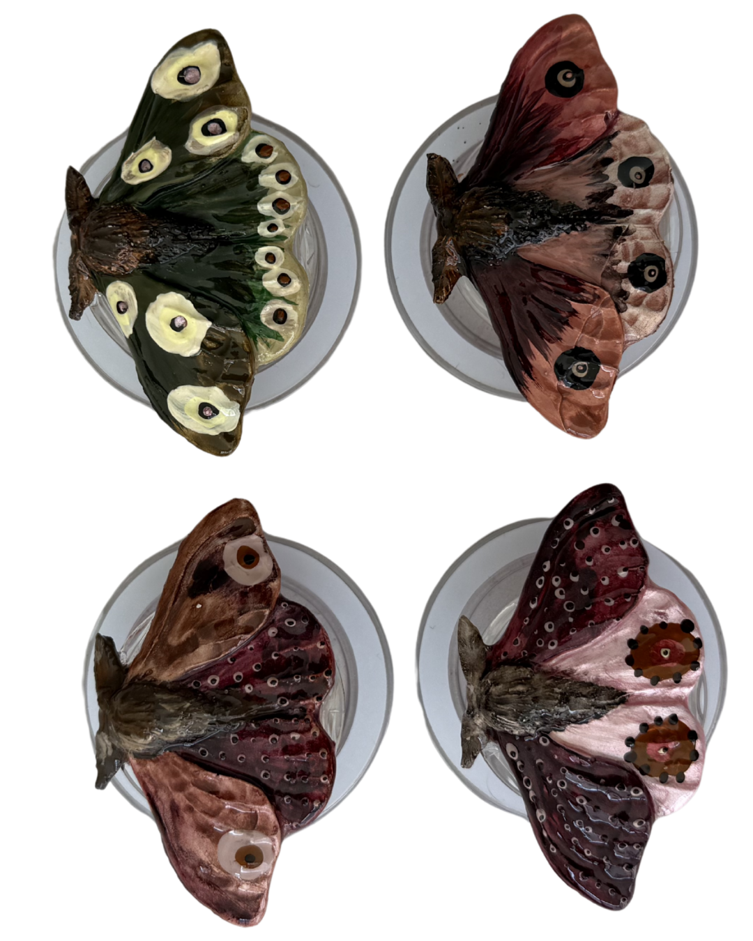 POLILLA