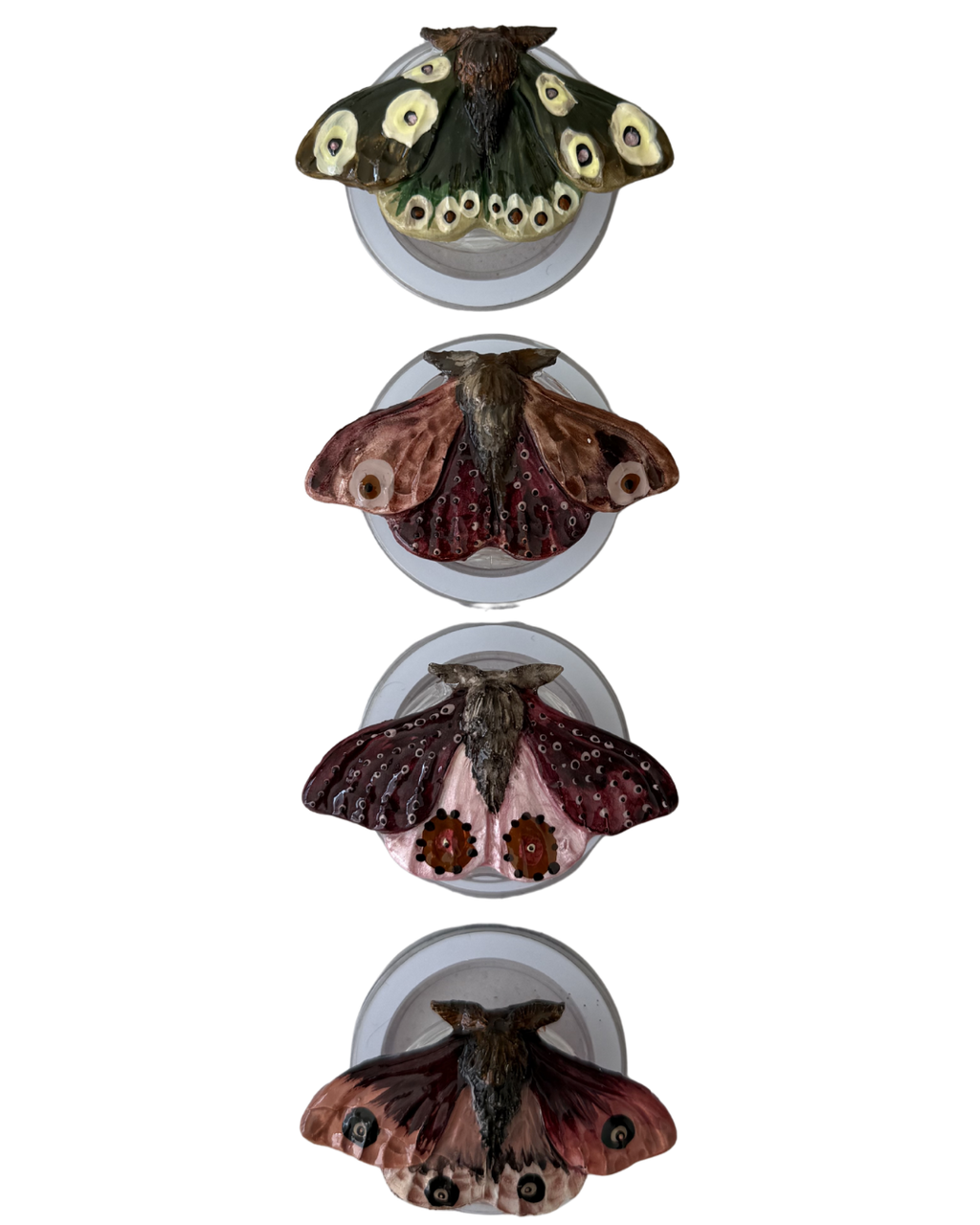 POLILLA