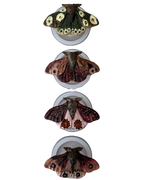 POLILLA