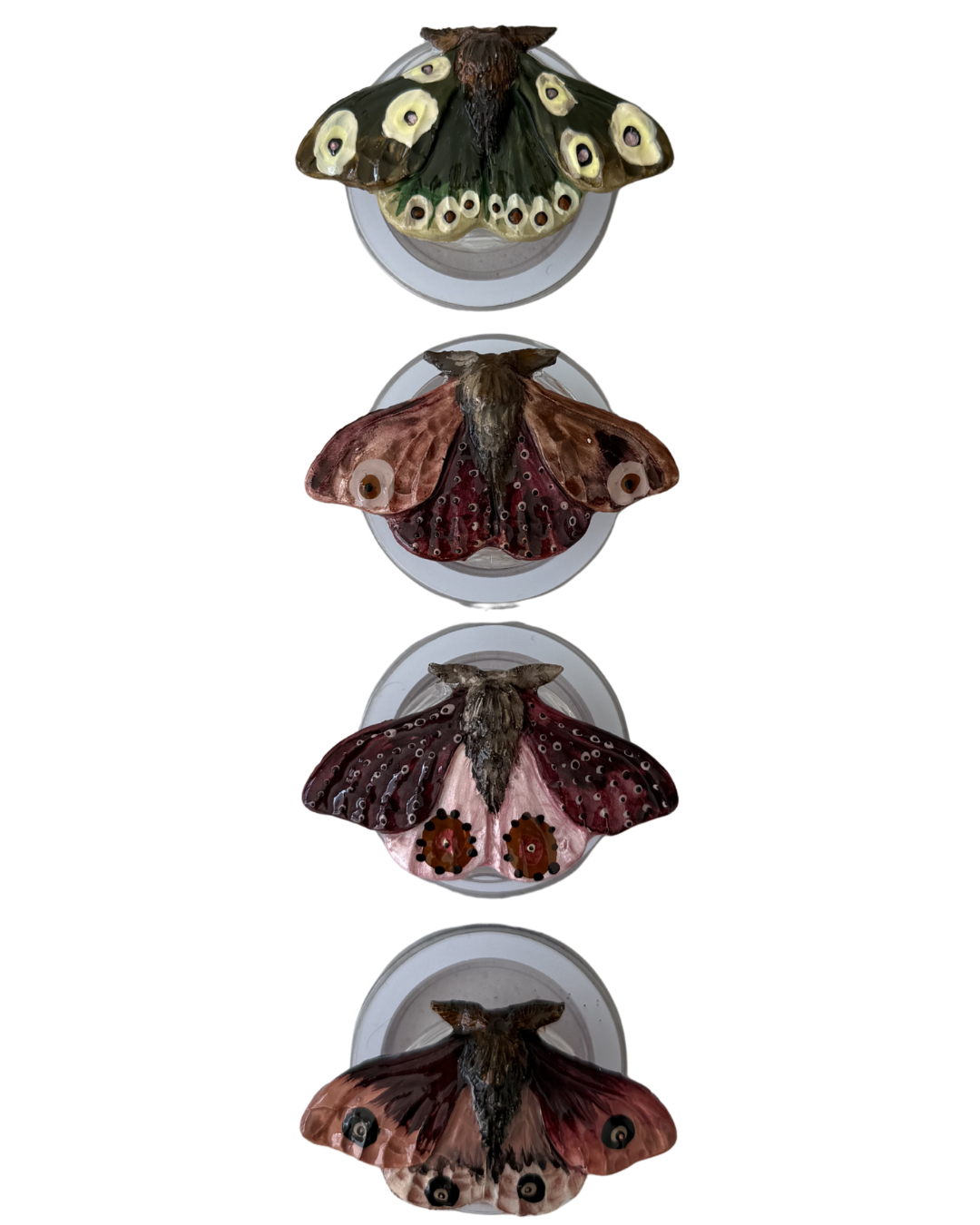 POLILLA