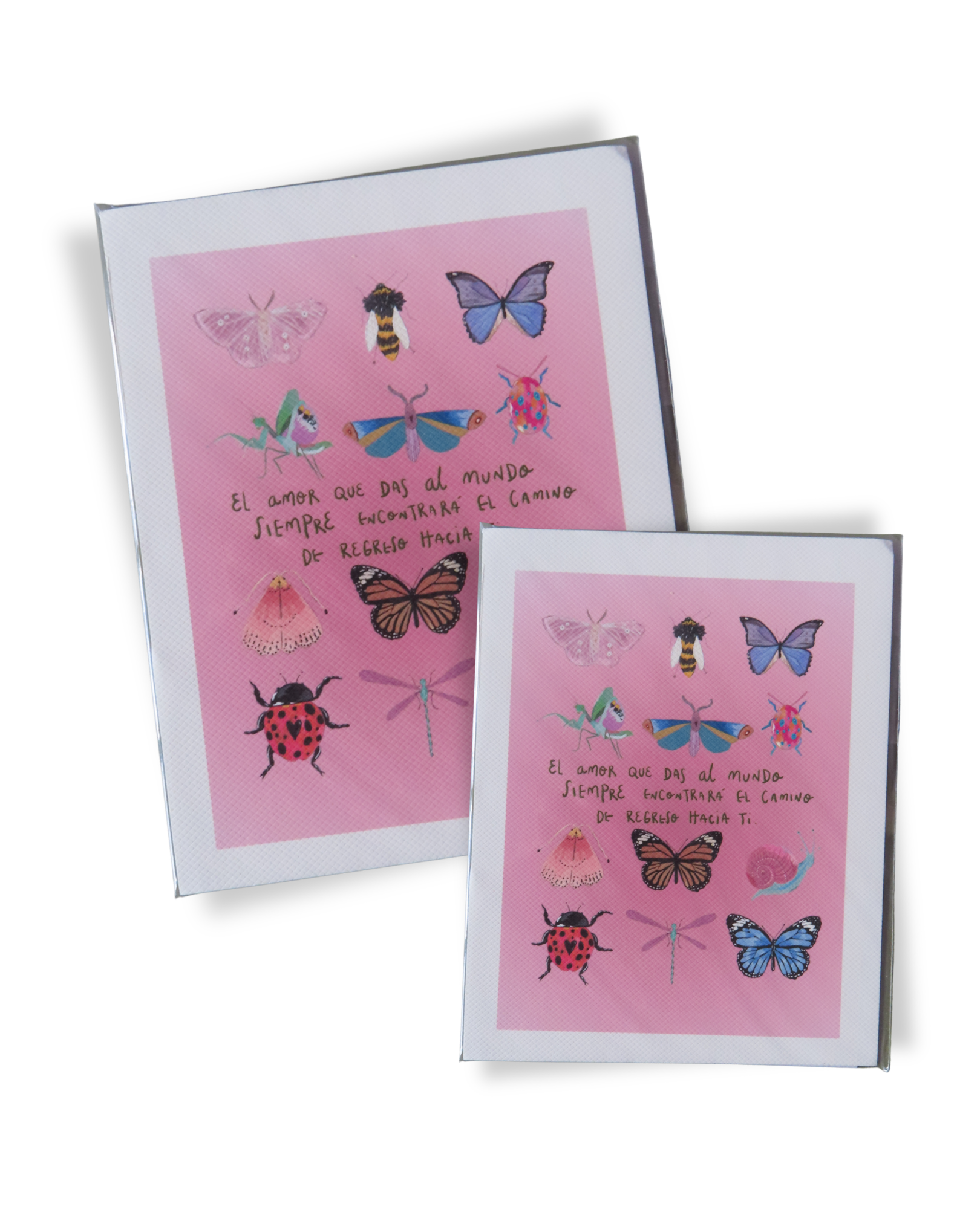 INSECTOS