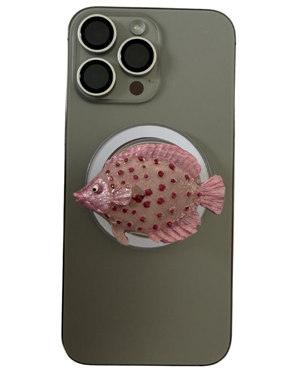 PACIFICO ROSA 3D