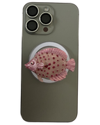PACIFICO ROSA 3D