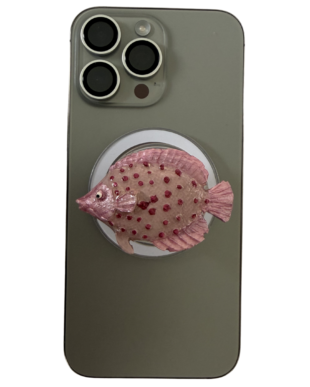 PACIFICO ROSA 3D