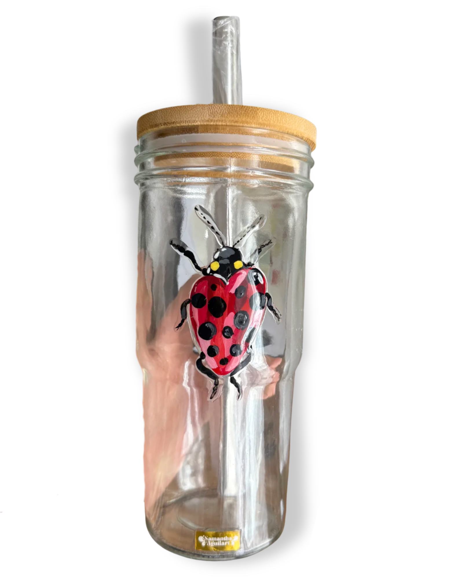LADYBUG