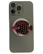 PACIFICO ROSA 3D