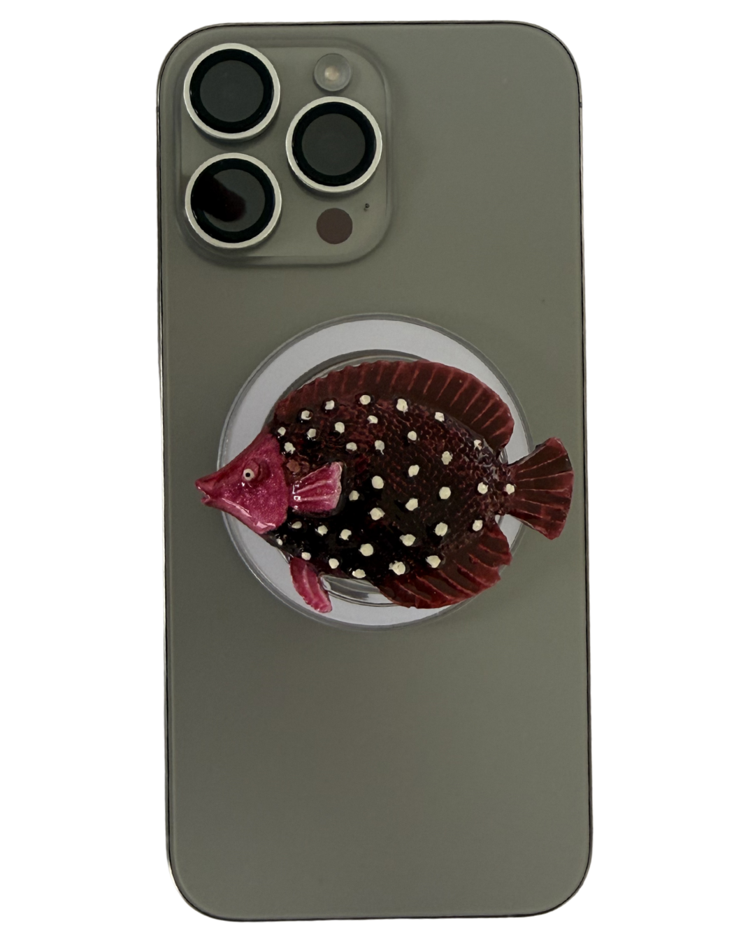 PACIFICO ROSA 3D