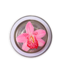 ORQUÍDEA