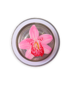 ORQUÍDEA