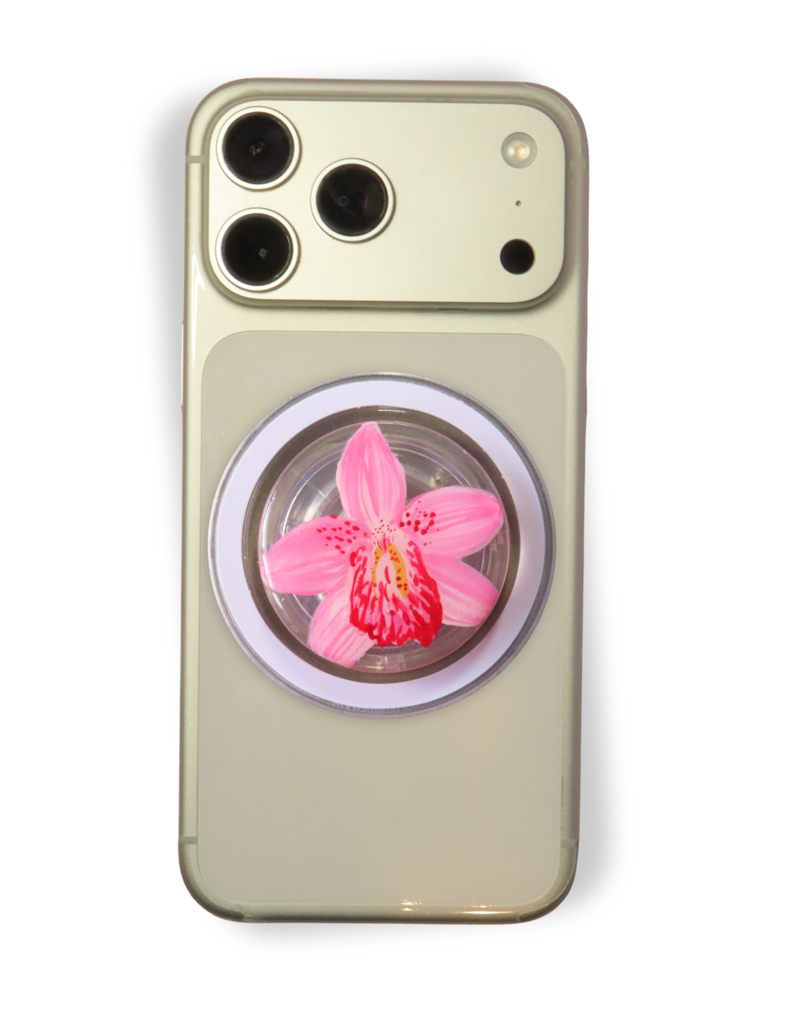 ORQUÍDEA