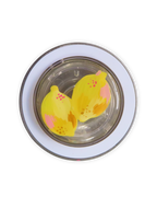 LIMONCELLO
