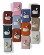 CISNE