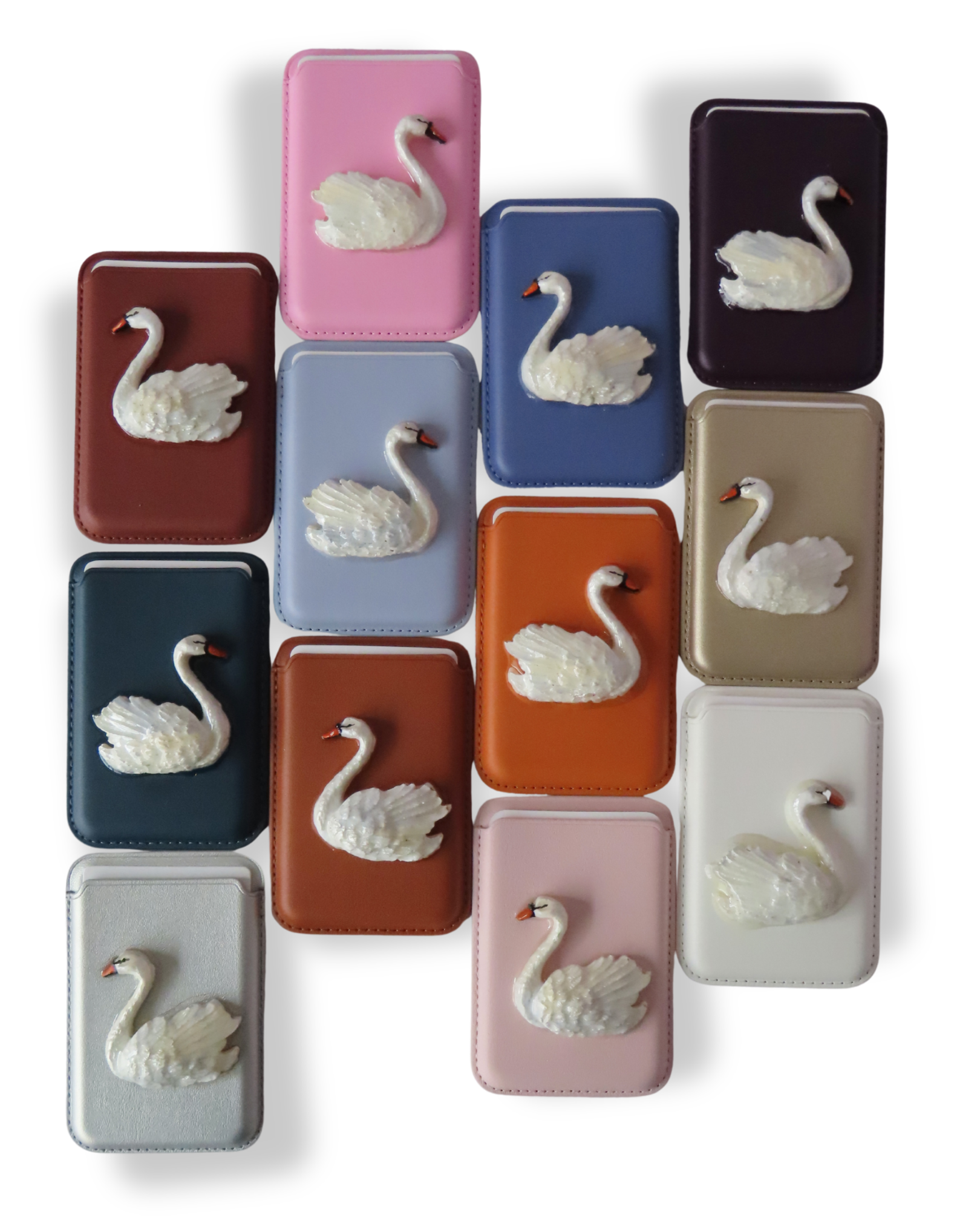 CISNE