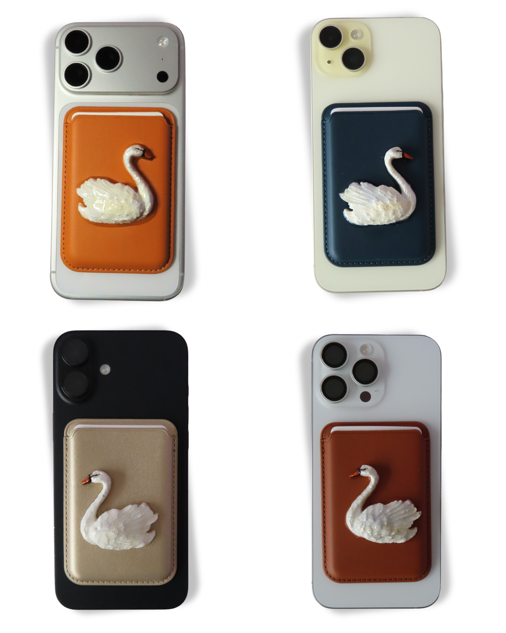 CISNE