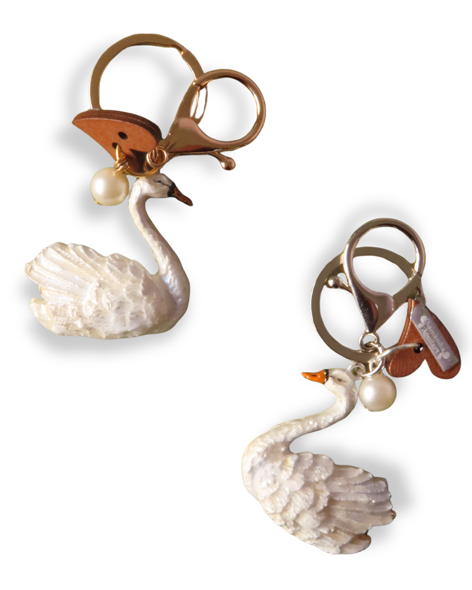 SWAN