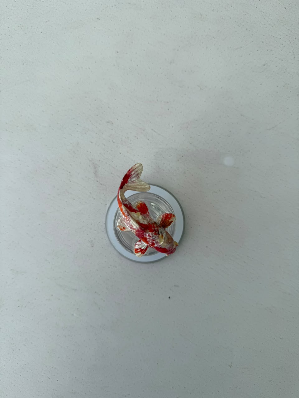 PEZ KOI