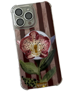 ORQUIDEA