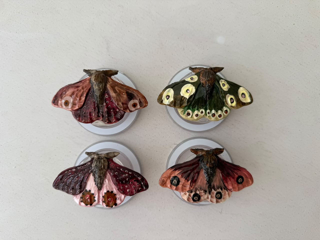 POLILLA