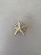 ESTRELLA DE MAR