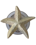 ESTRELLA DE MAR