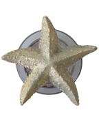 ESTRELLA DE MAR