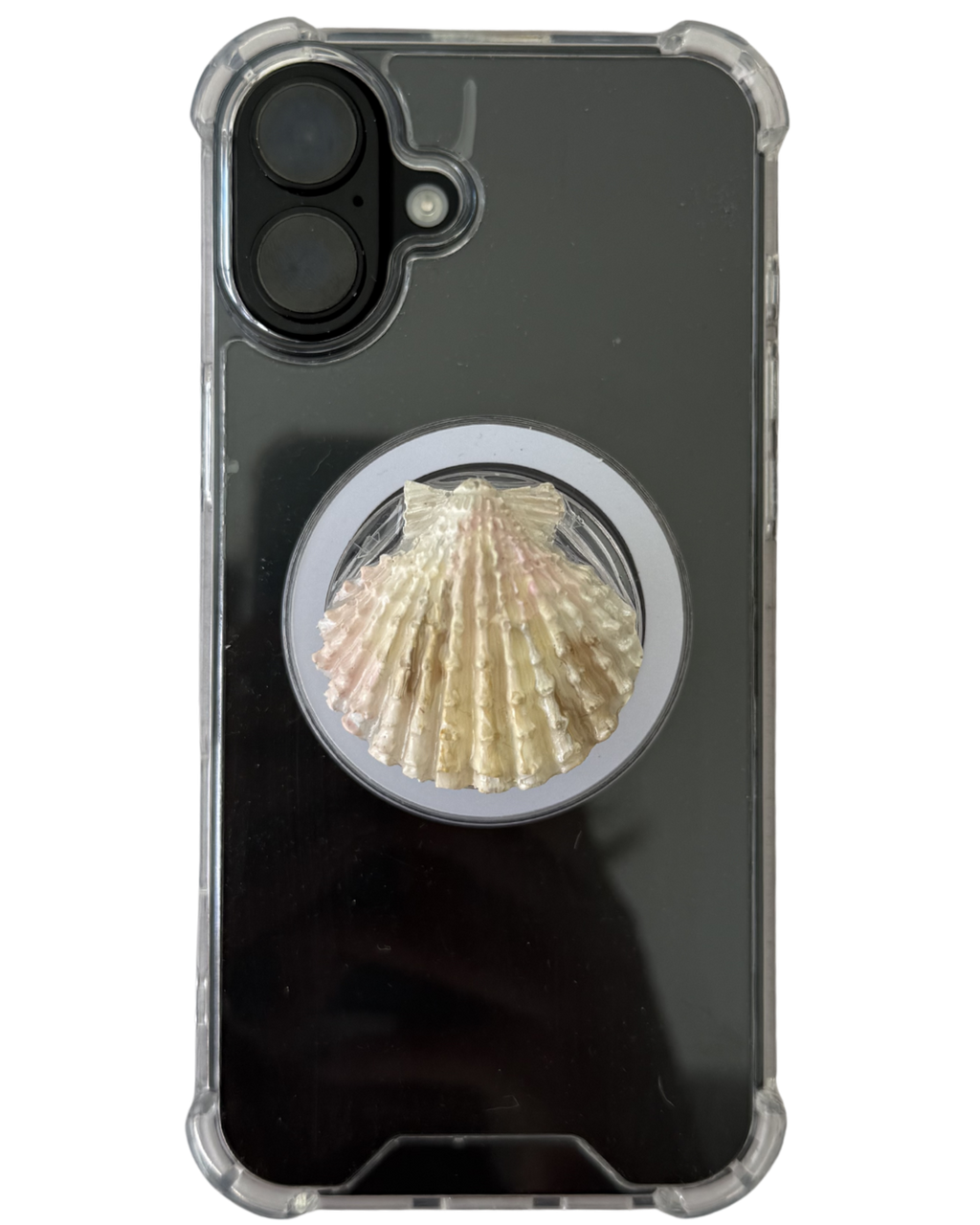 CONCHA DE MAR