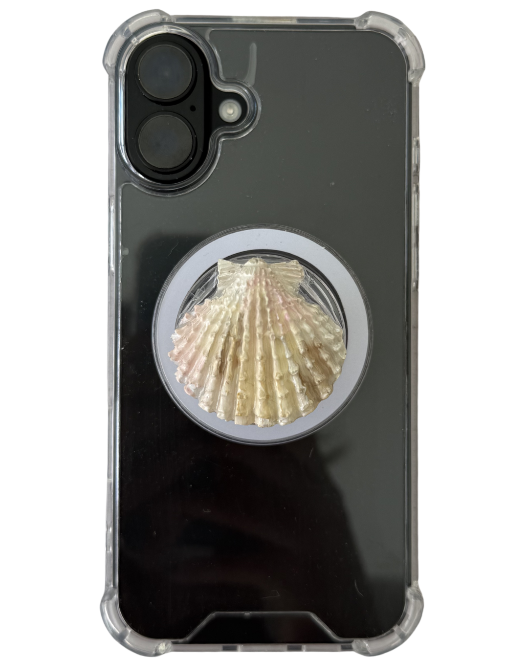 CONCHA DE MAR