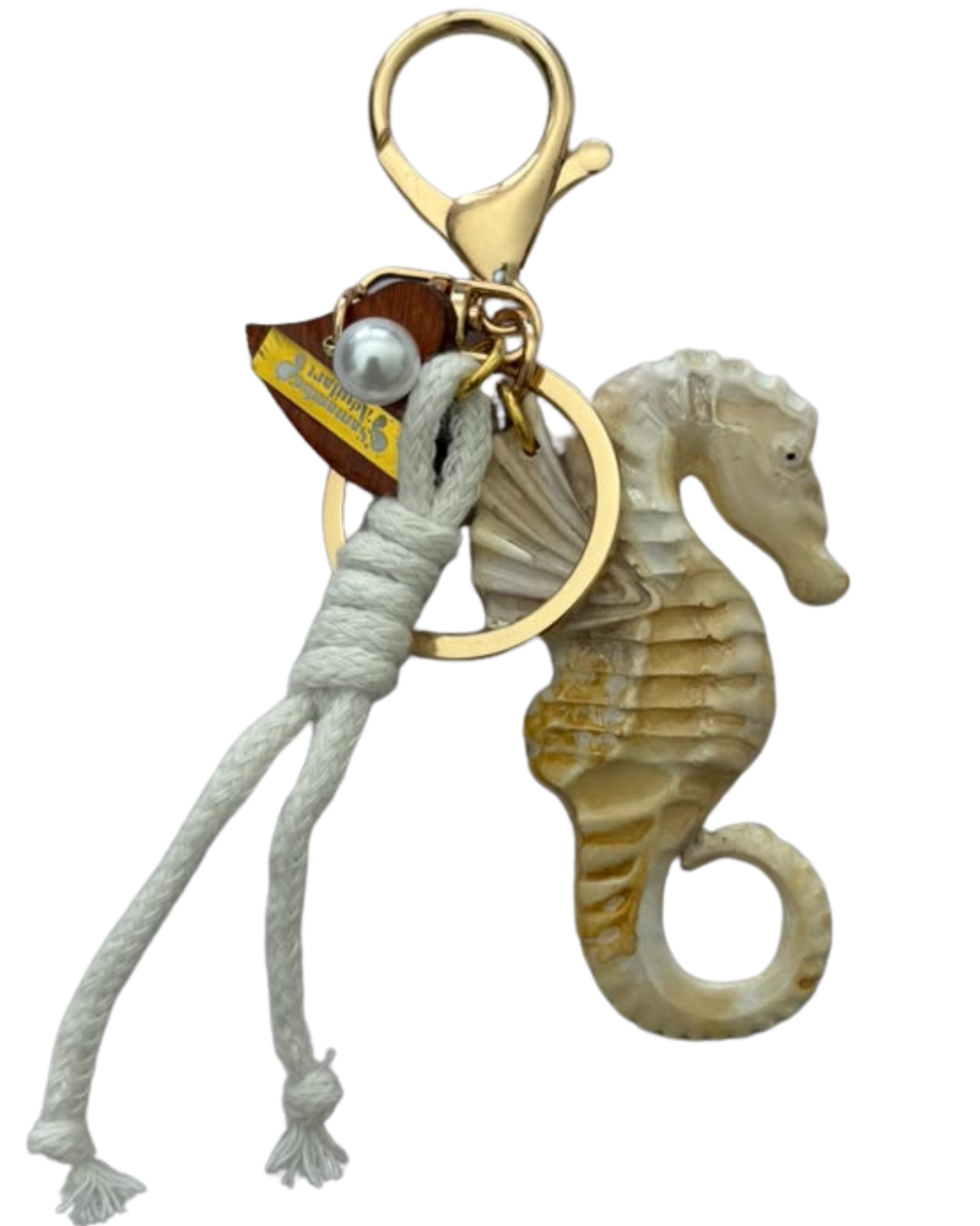 CABALLO DE MAR