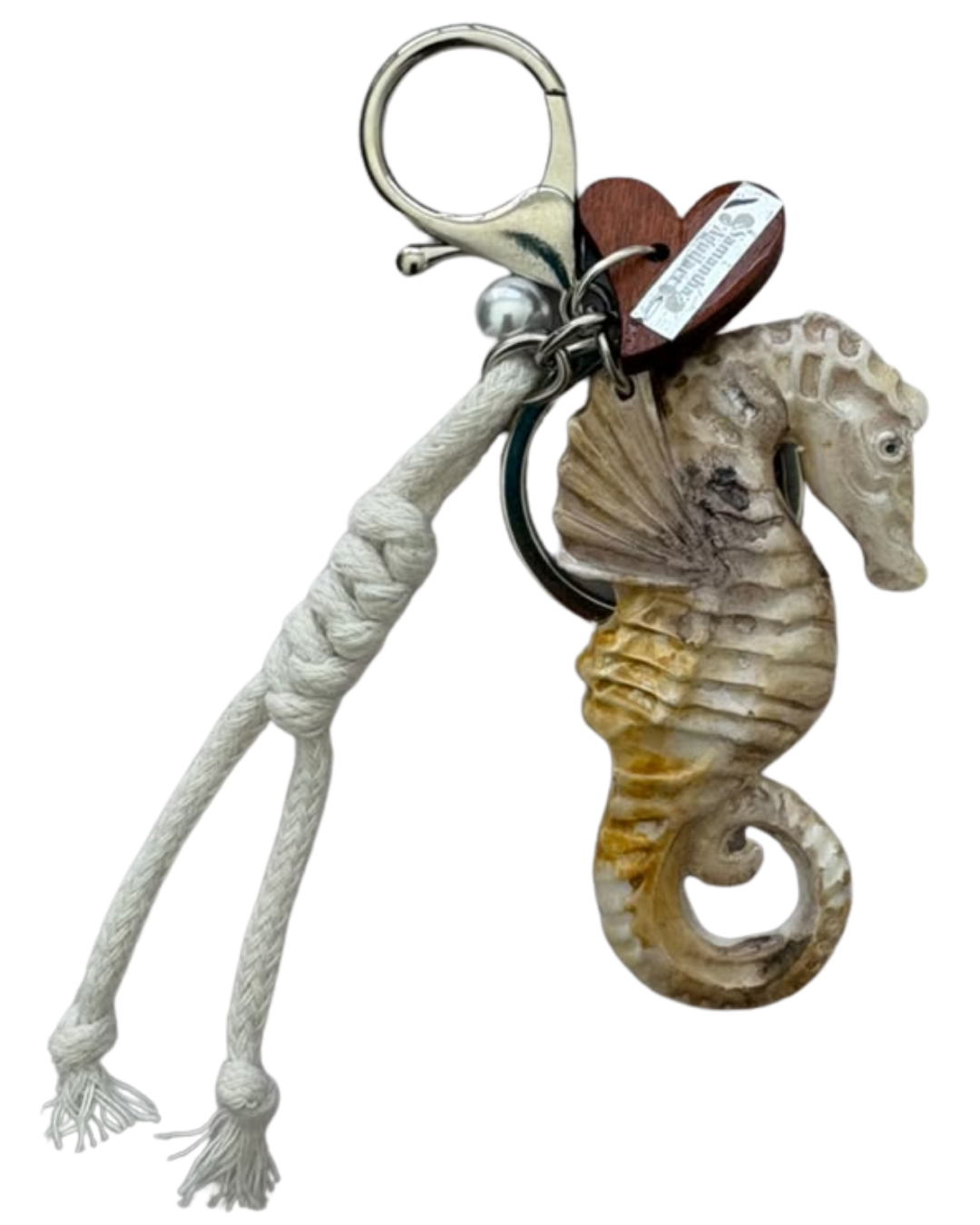 CABALLO DE MAR