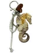 CABALLO DE MAR