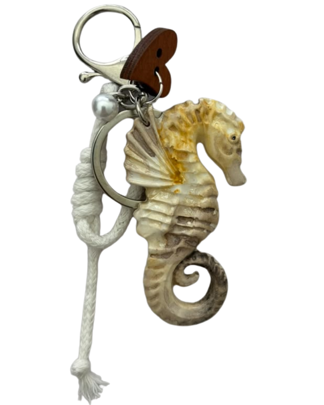 CABALLO DE MAR
