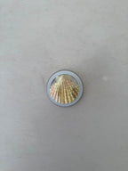 CONCHA DE MAR