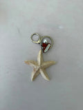 ESTRELLA DE MAR